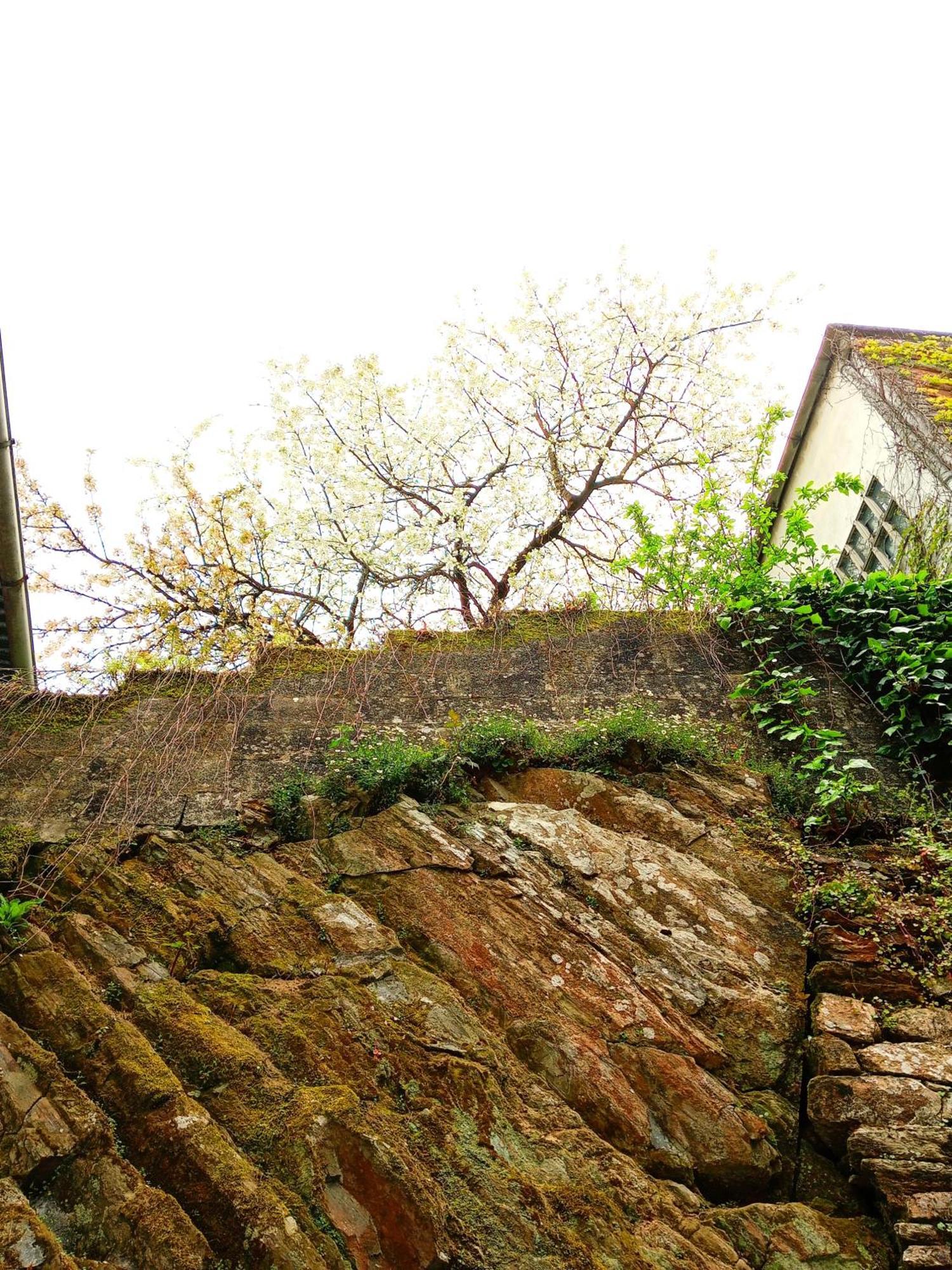 Albergue San Lazaro Sarria Eksteriør bilde